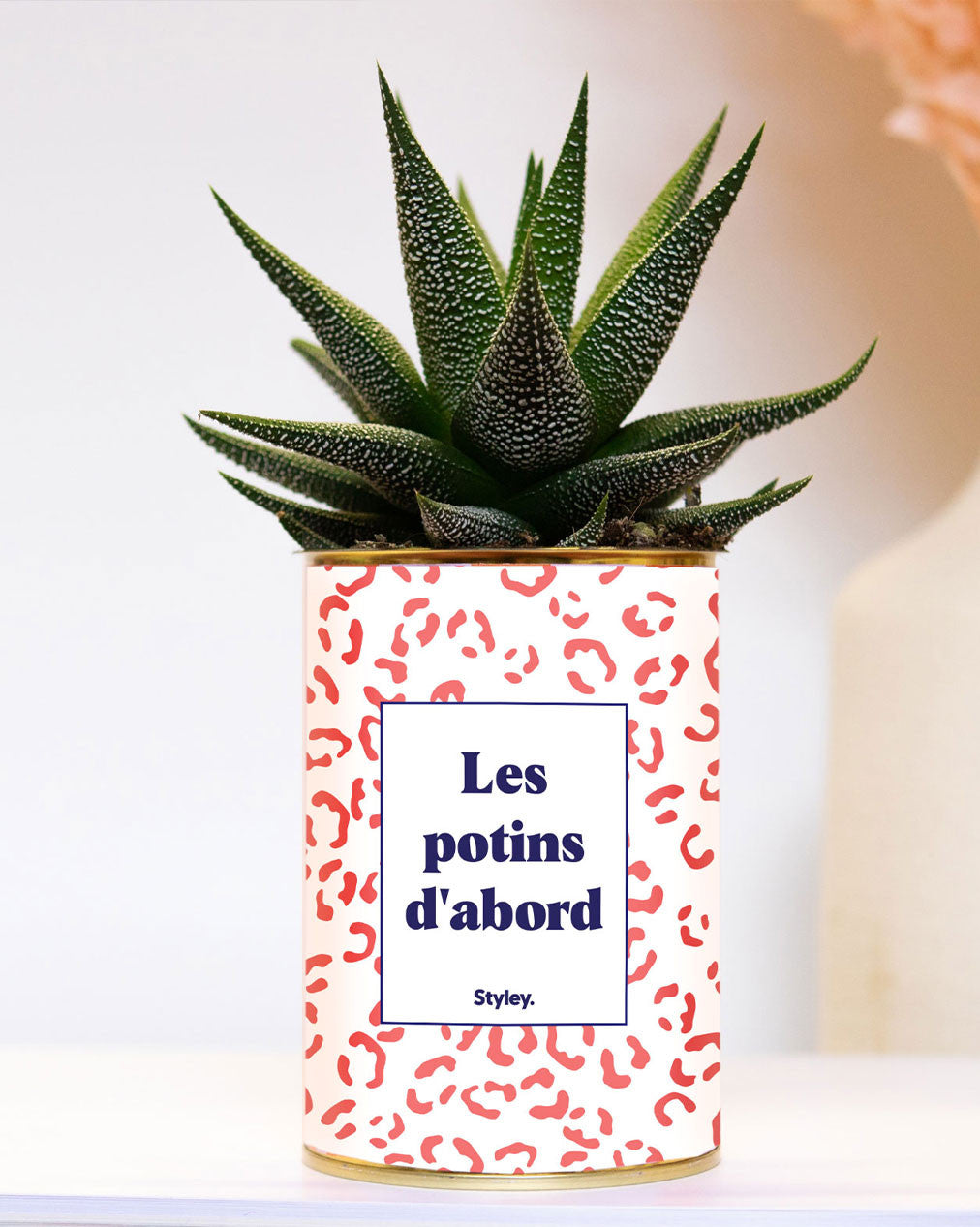 Les potins d'abord - Leopard- Plante grasse