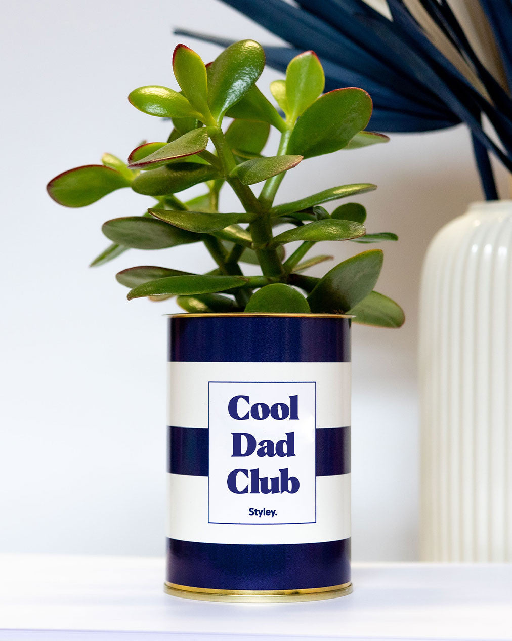 Cool dad club - Plante grasse