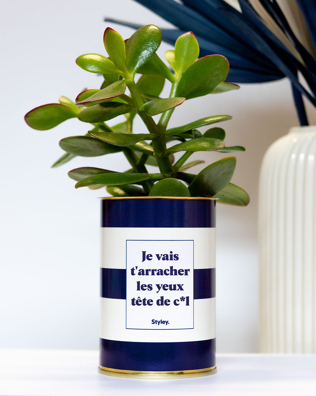 Je vais t'arracher les yeux tête de cul - Cactus