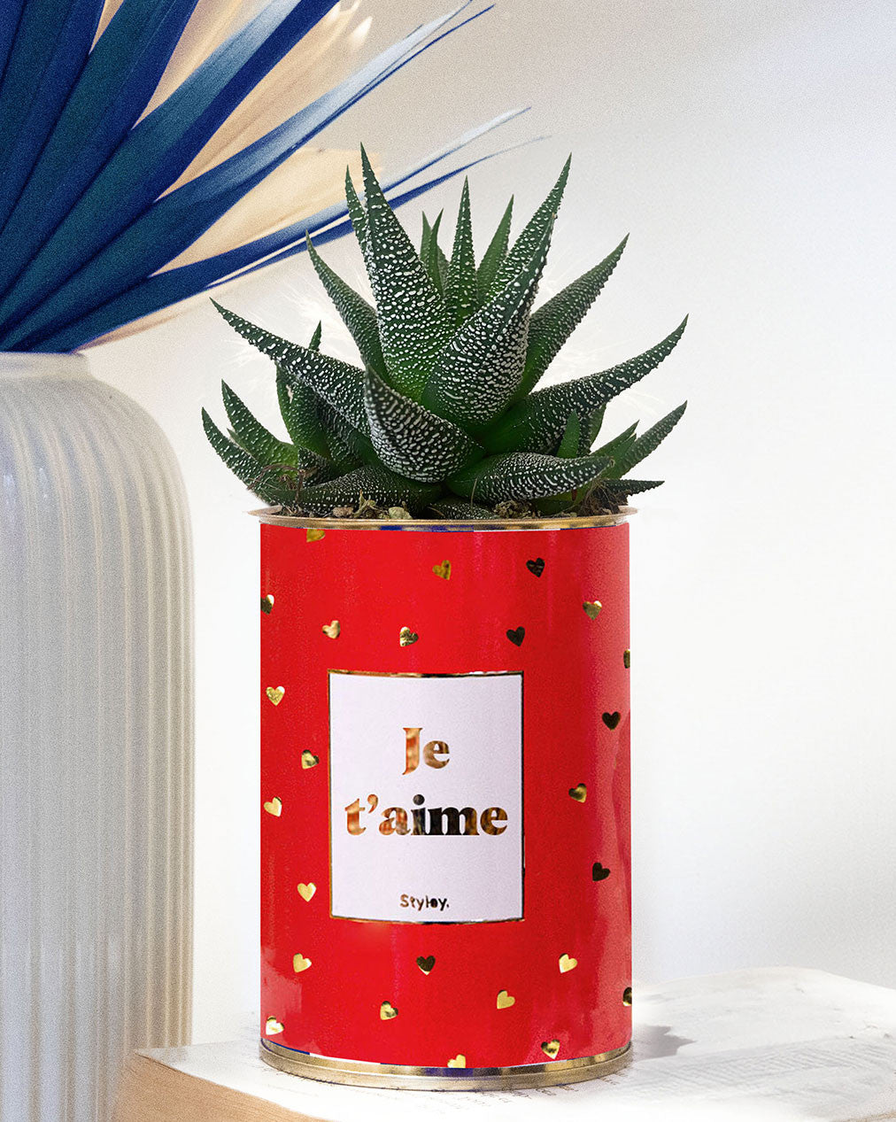 Je t'aime doré - Cactus