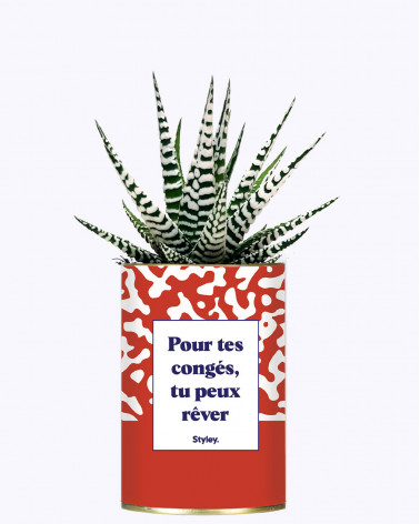 Idées Cadeaux - Cactus pour collègues de travail I STYLEY
