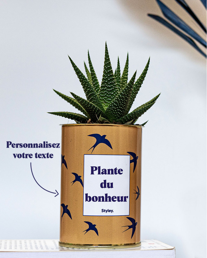 Plante succulente personnalisée  Cadeau d'entreprise Made in France
