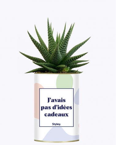 Plante succulente personnalisée  Cadeau d'entreprise Made in France