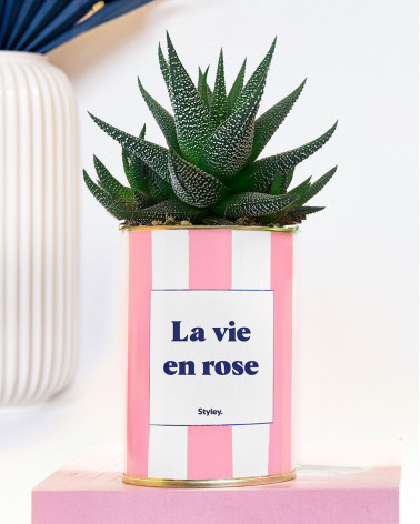 La vie en rose - pot à...