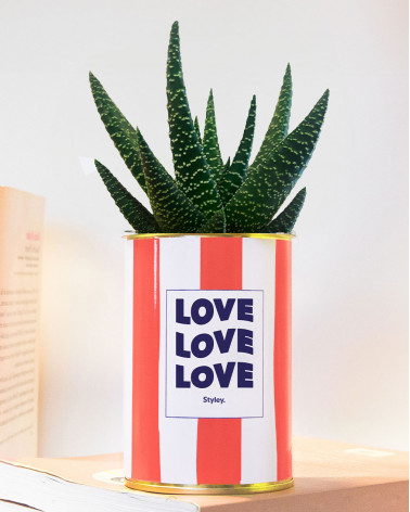 Love Love Love - pot à...