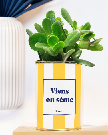 Viens on sème - pot à...