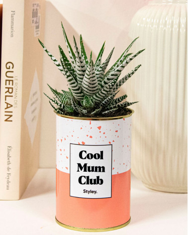 Cool mum club - Plante grasse