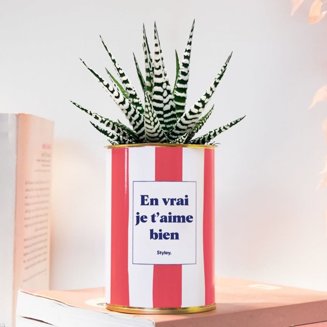 Messages d’amour à glisser avec une plante