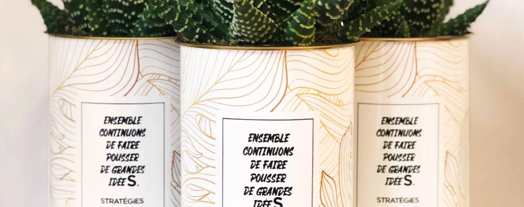 Comment booster la cohésion en entreprise avec des plantes personnalisées