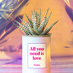 All you need is love - Cactus