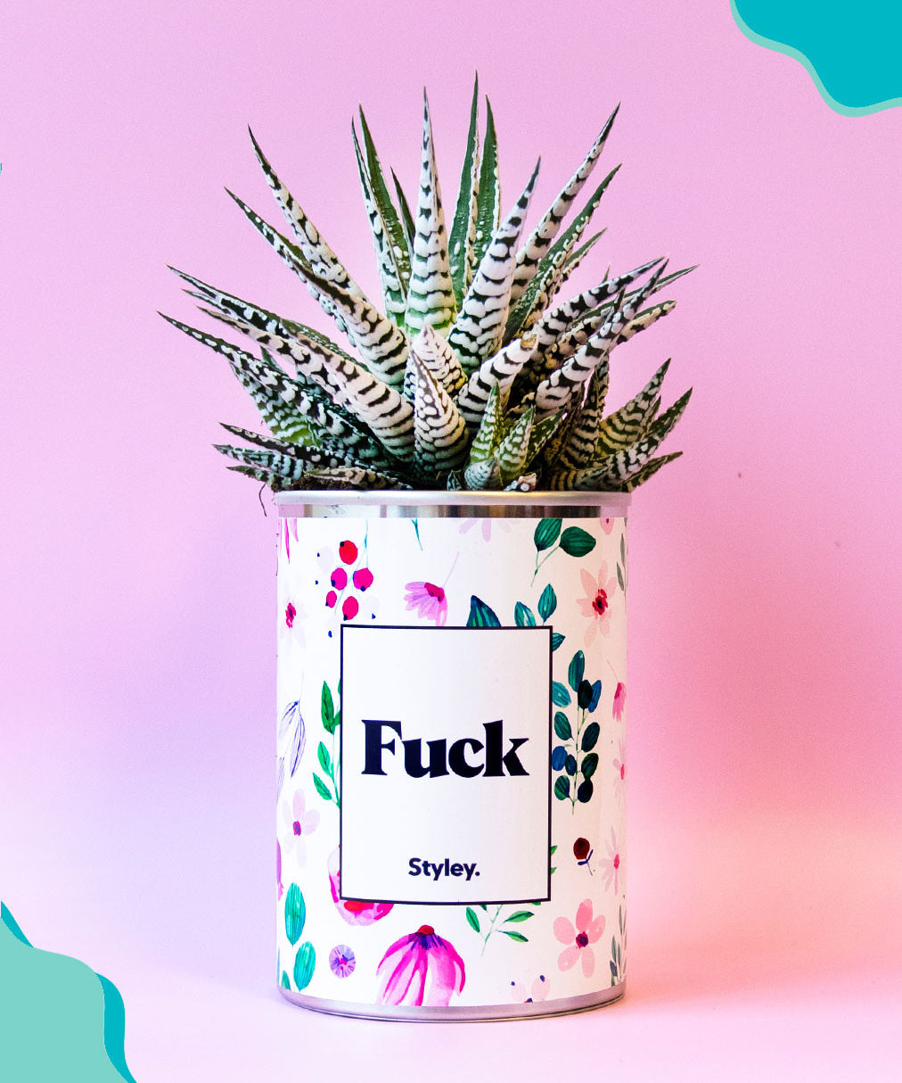 Fuck - Cactus