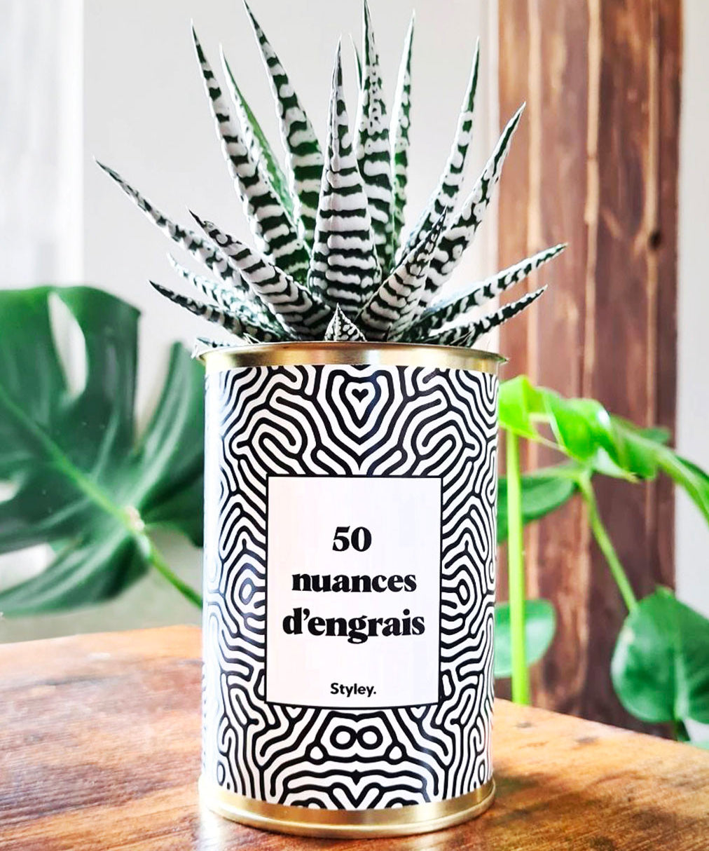 50 Nuances d'engrais - Plante grasse