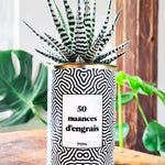 50 Nuances d'engrais - Plante grasse