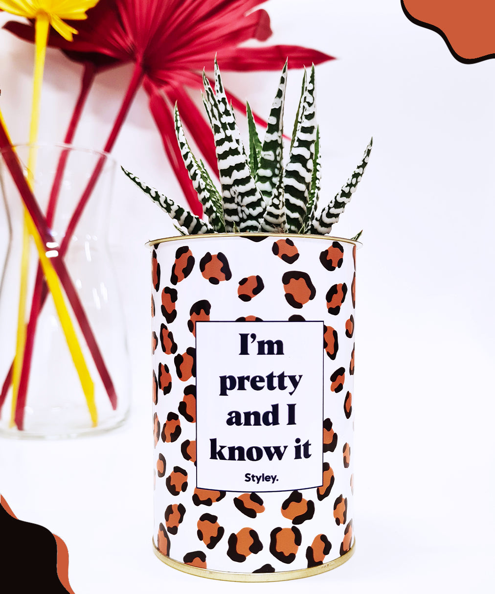 I'm pretty and I know it - Cactus