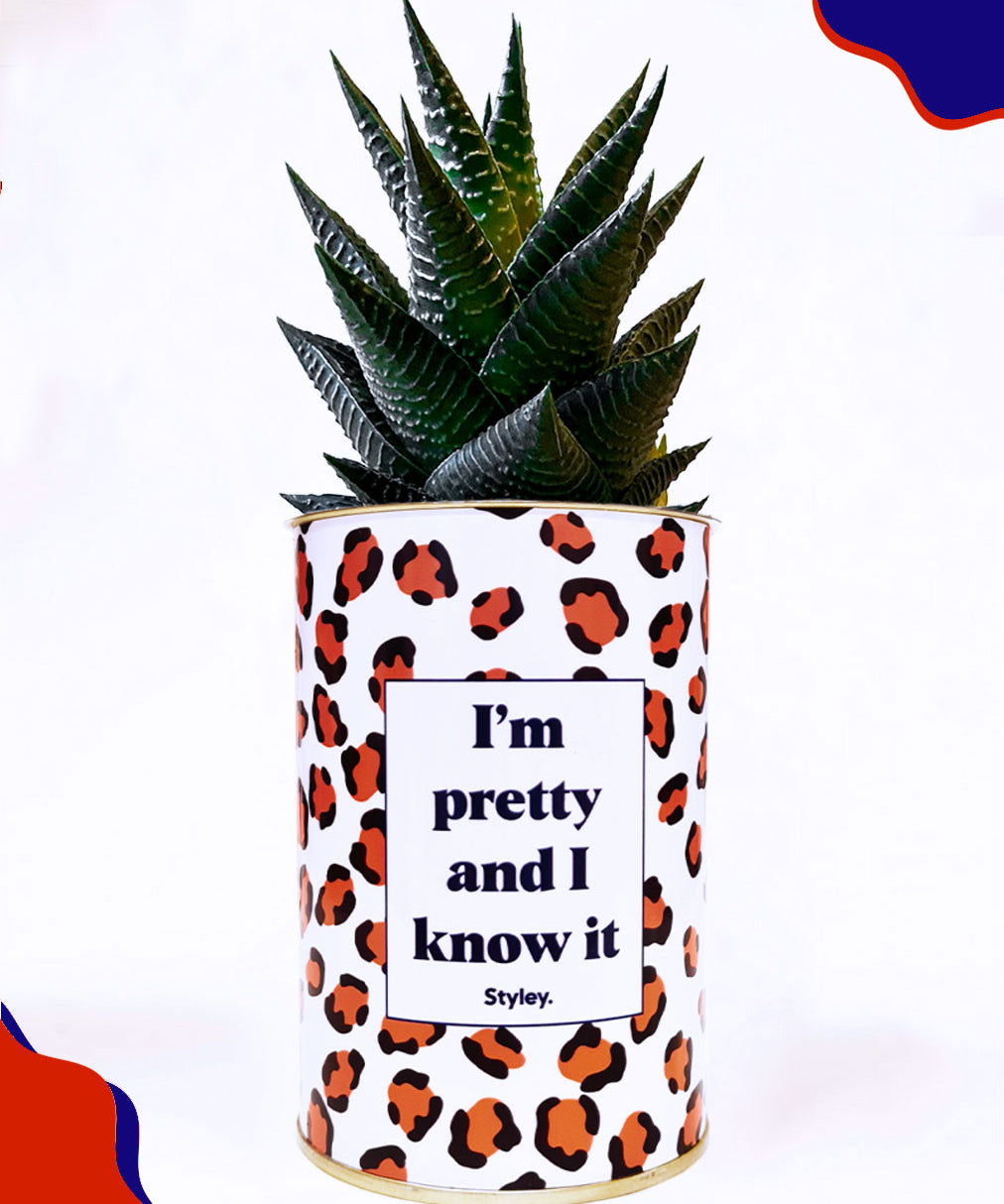 I'm pretty and I know it - Cactus