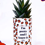 I'm pretty and I know it - Cactus