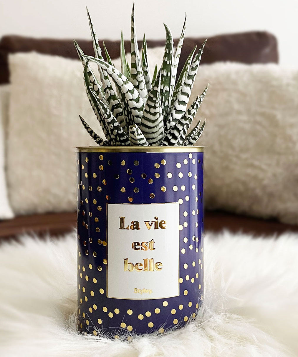La vie est belle - Cactus - Finitions Gold
