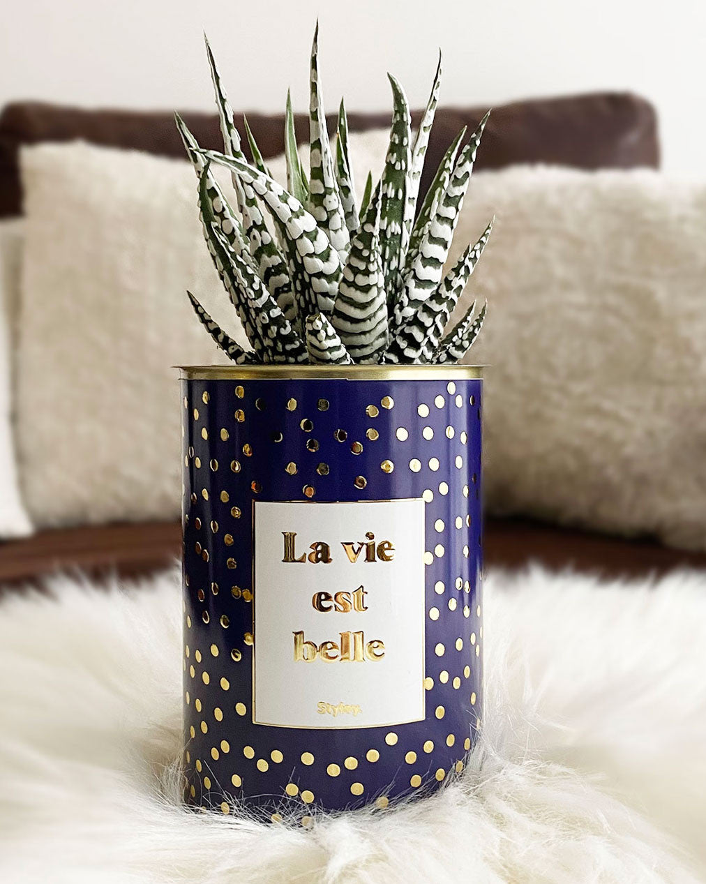 La vie est belle - Cactus - Finitions Gold