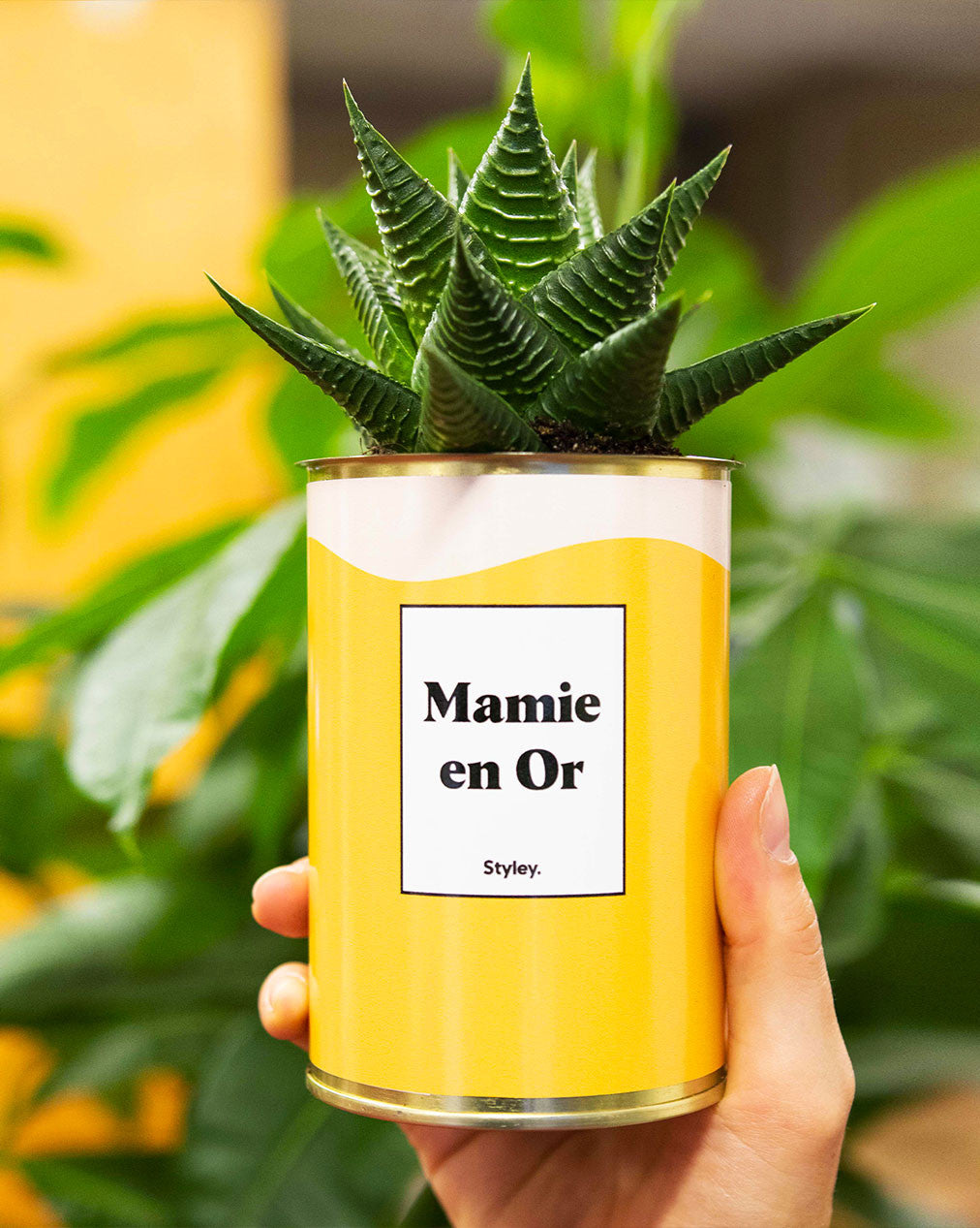 Mamie en Or - Cactus
