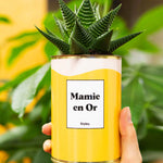 Mamie en Or - Cactus