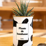 Plante de bombasse - Cactus