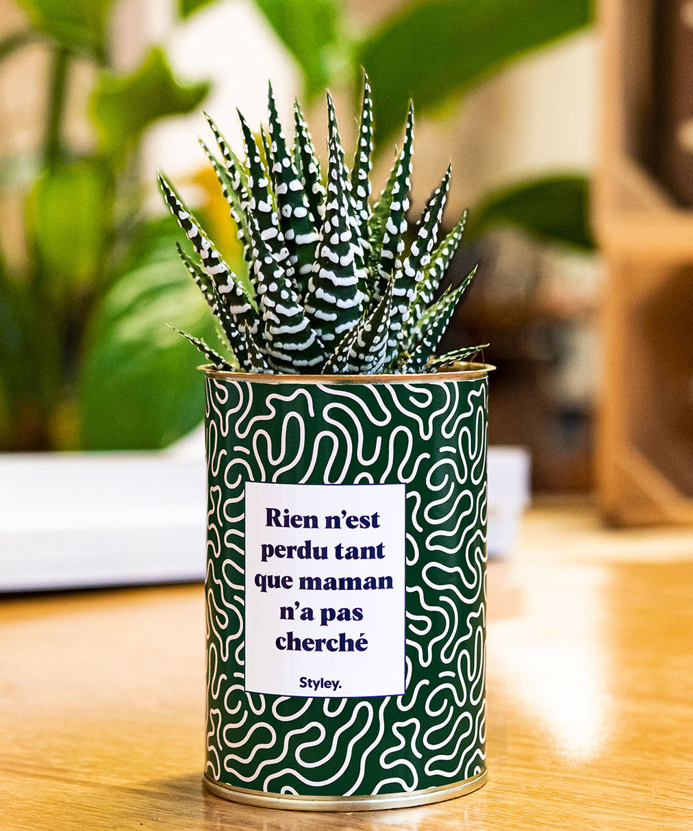 Rien n'est perdu tant que maman n'a pas cherché - Cactus