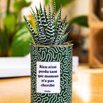 Rien n'est perdu tant que maman n'a pas cherché - Cactus