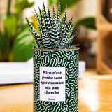 Rien n'est perdu tant que maman n'a pas cherché - Cactus