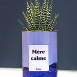Mère calme - Cactus