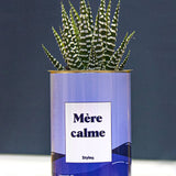 Mère calme - Cactus