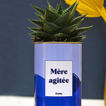 Mère agitée - Cactus