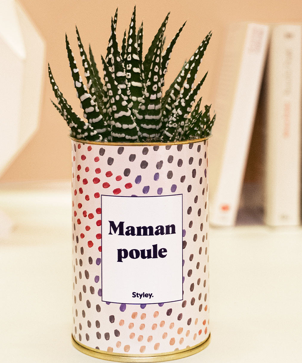 Maman poule - Cactus
