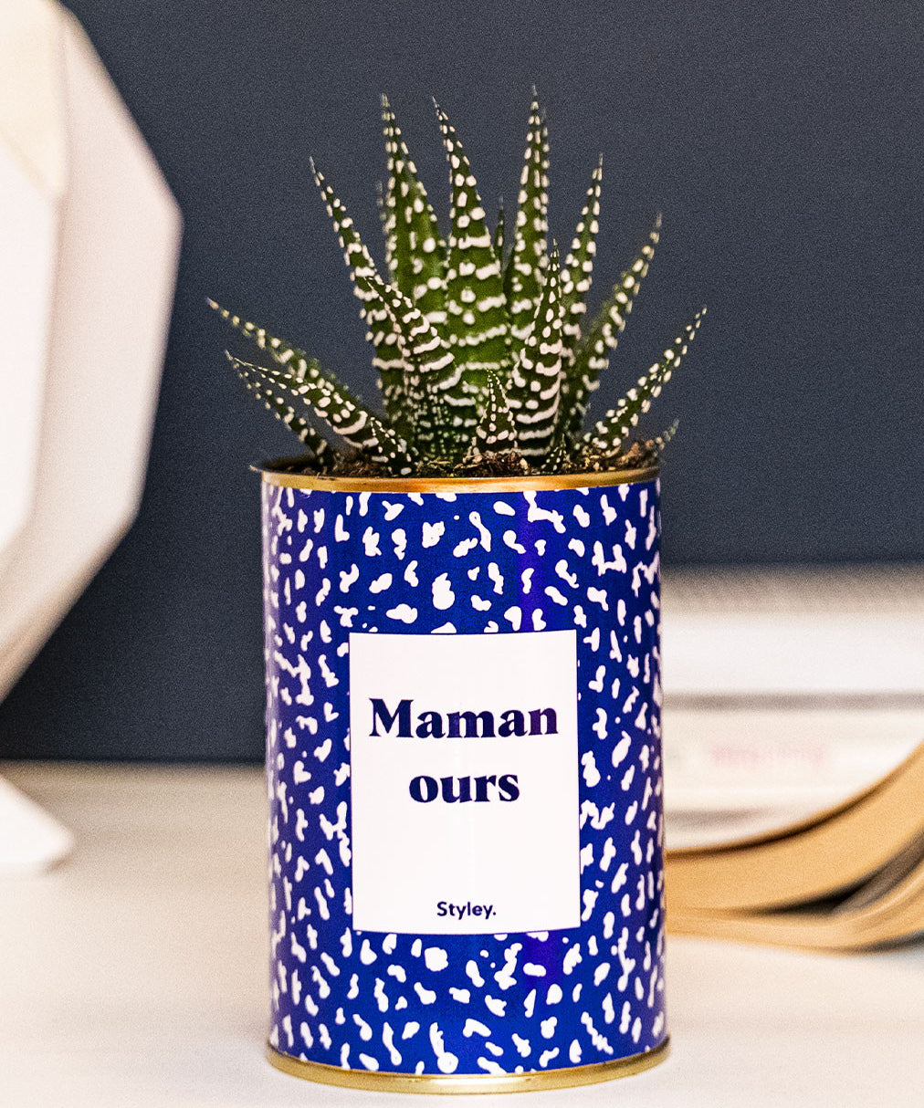 Maman ours - Cactus
