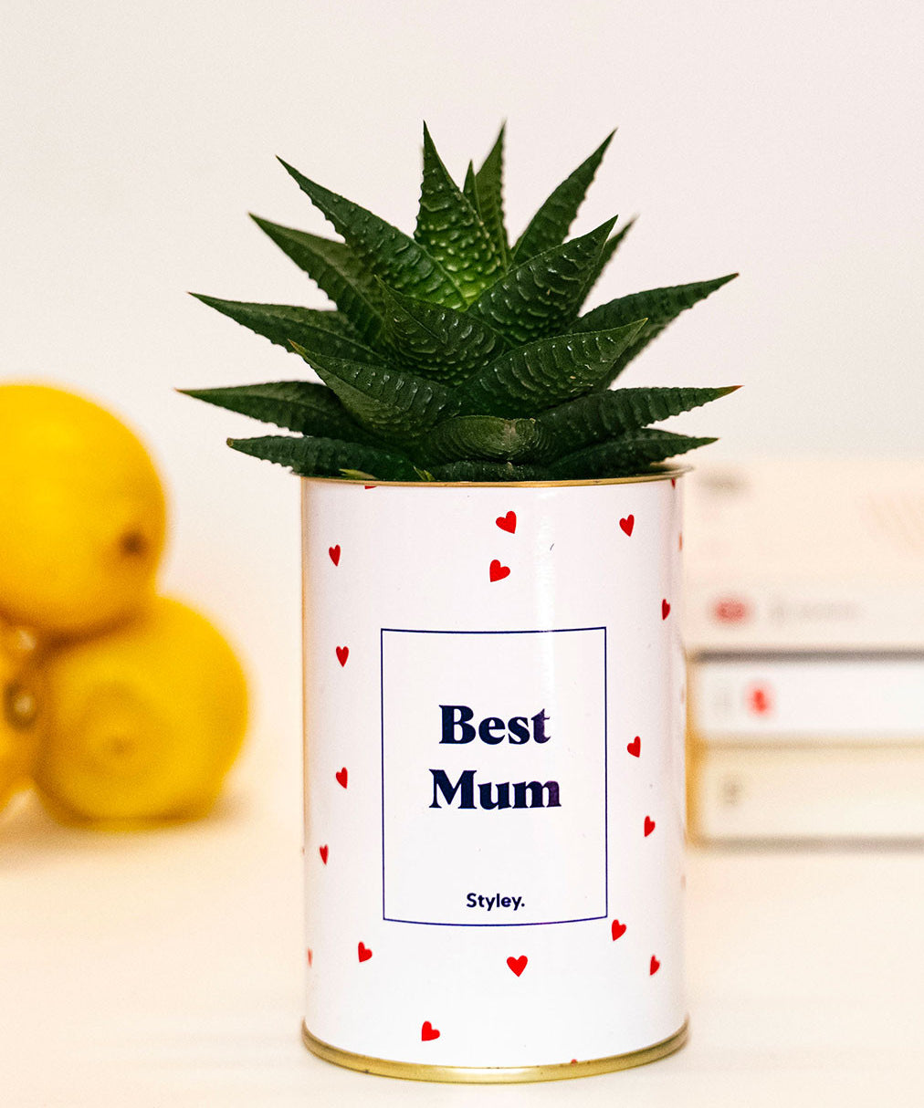 Best Mum - Cactus
