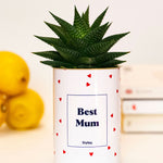 Best Mum - Cactus