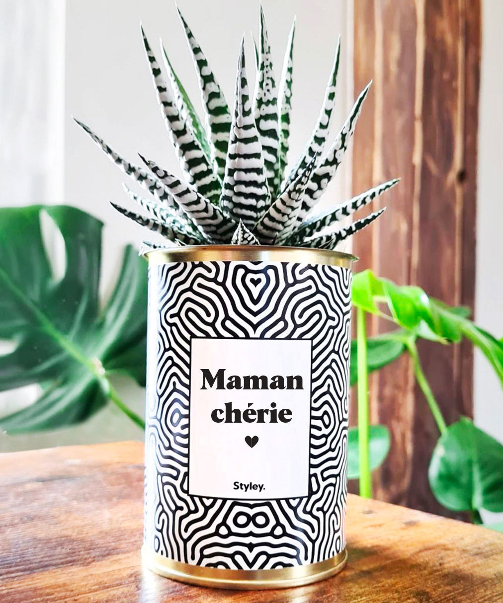 Maman Chérie - Cactus