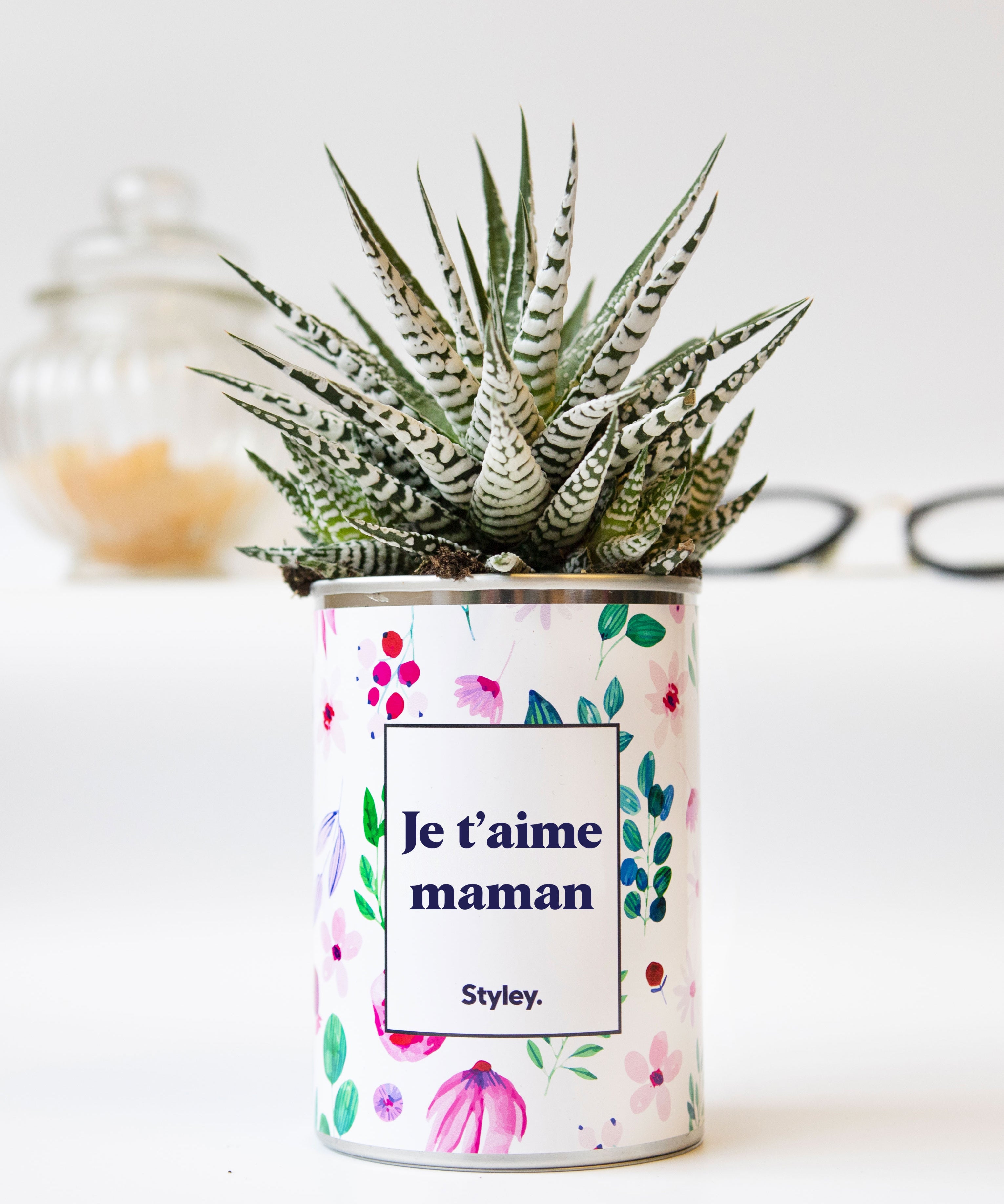 Je t'aime Maman - Cactus