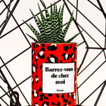 Barrez-vous de chez moi - Cactus