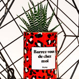 Barrez-vous de chez moi - Cactus