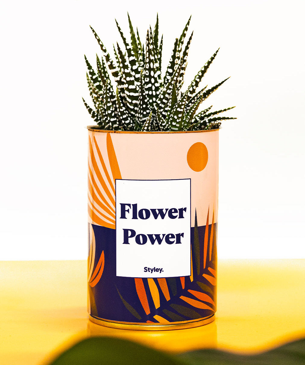Flower Power - Cactus