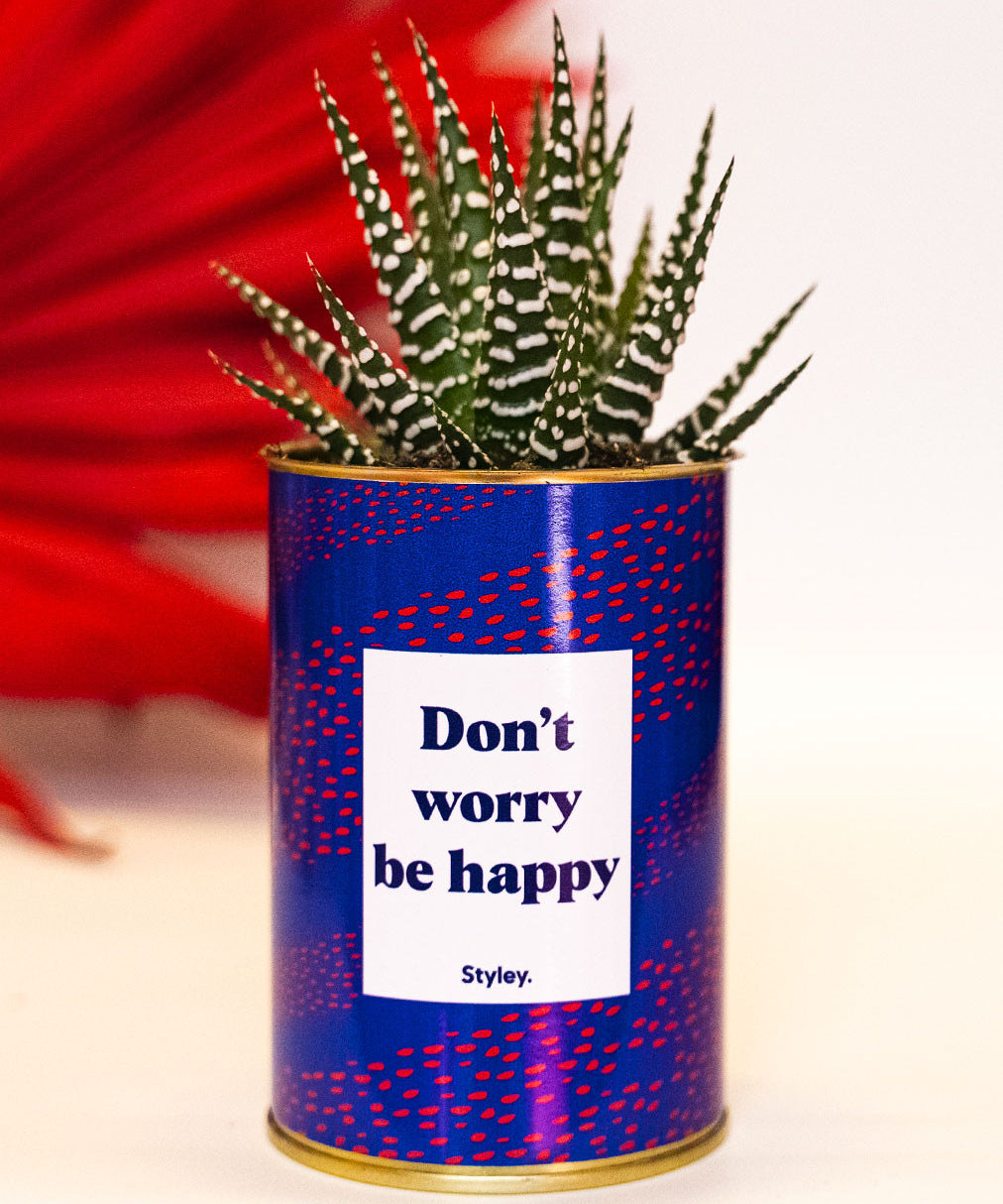 Don't worry be happy - Cactus