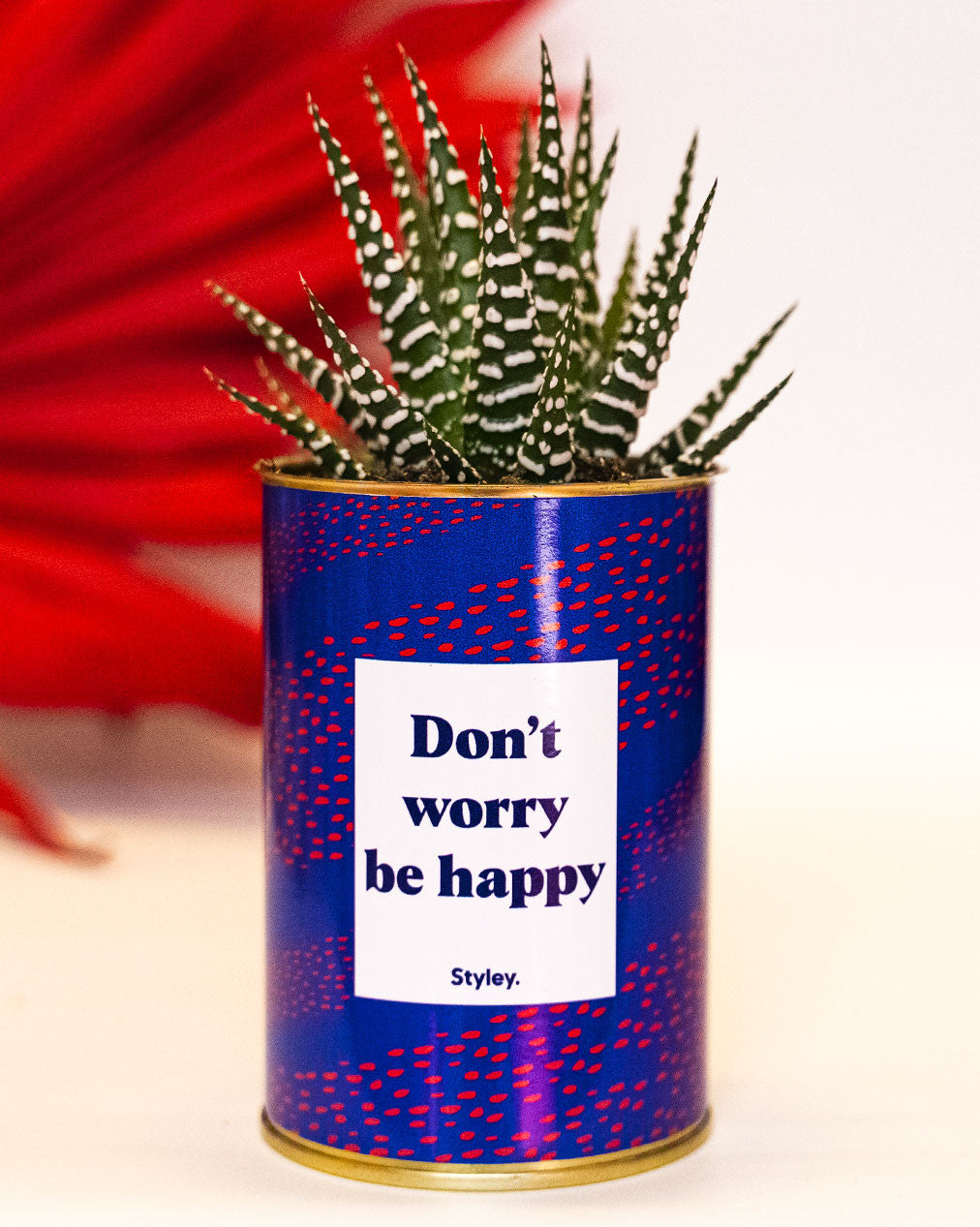 Don't worry be happy - Cactus