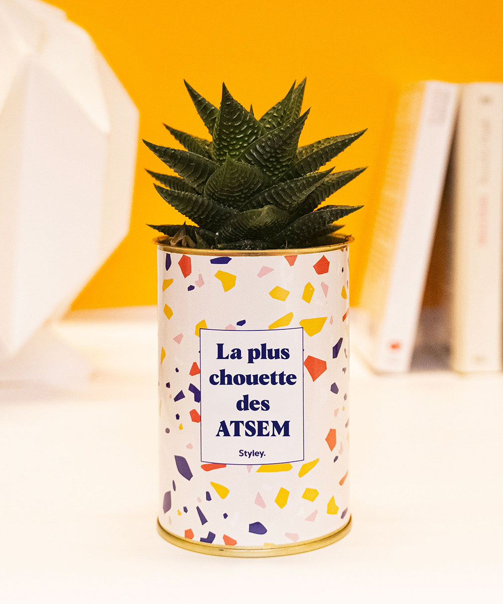 La plus chouette des ATSEM - Cactus