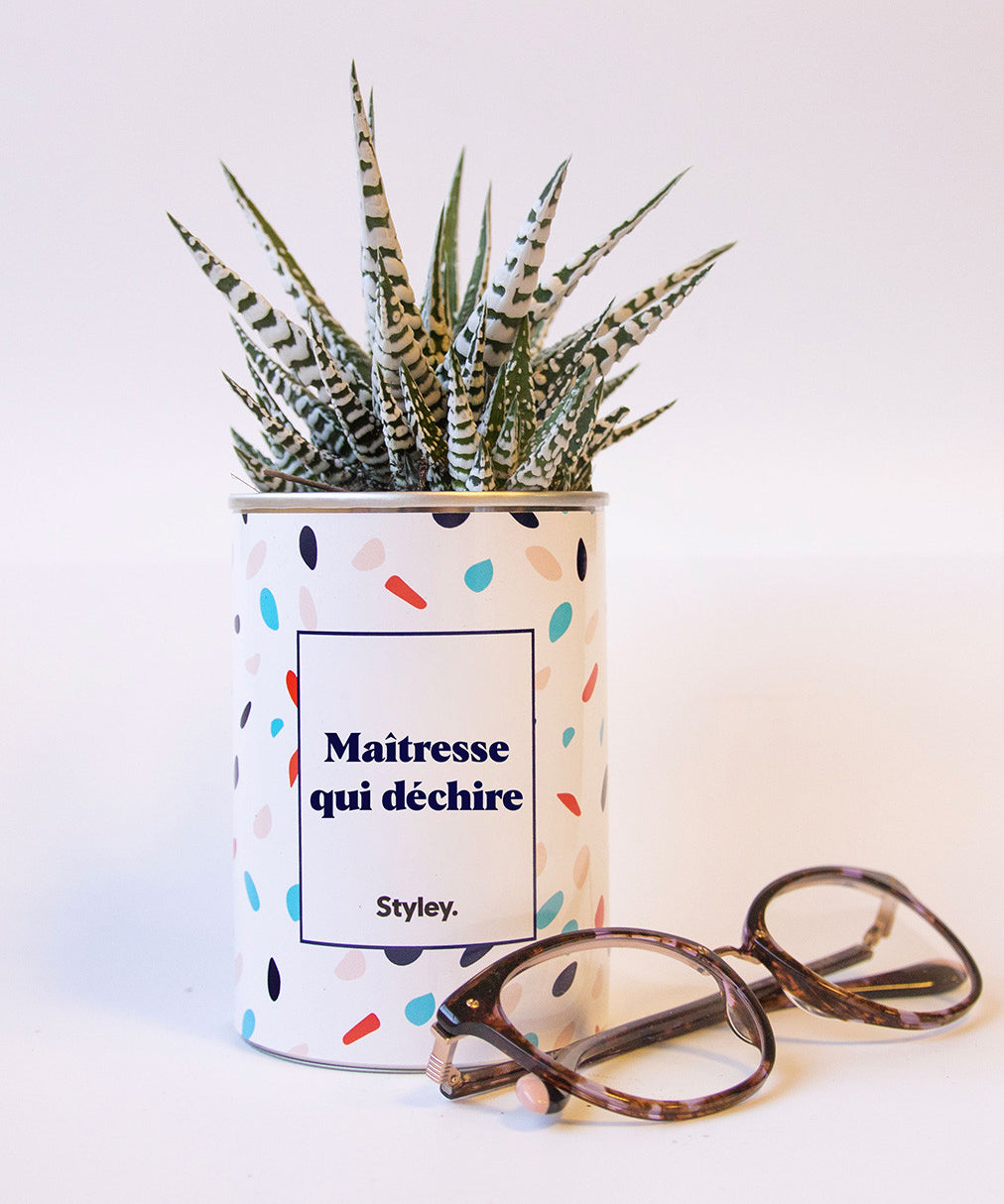 Maîtresse qui déchire - Cactus