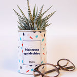 Maîtresse qui déchire - Cactus