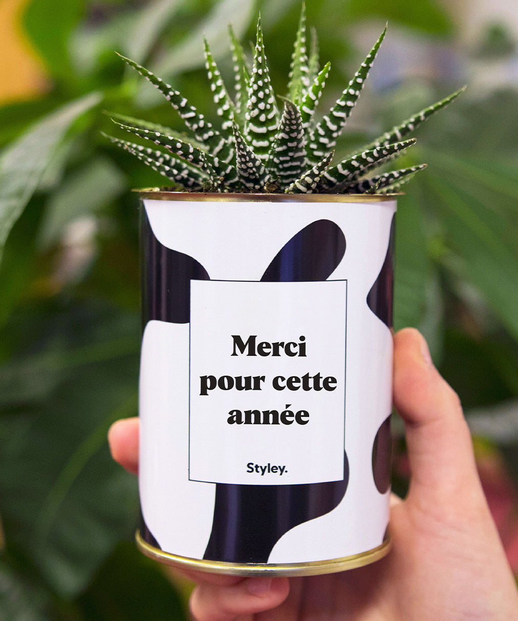 Merci pour cette année - Cactus