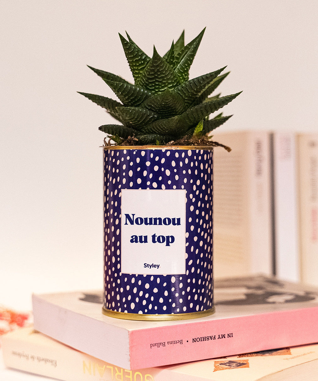 Nounou au top - Cactus