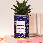 Nounou au top - Cactus