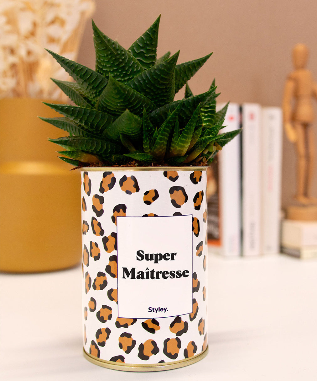 Super Maîtresse - Cactus