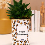 Super Maîtresse - Cactus